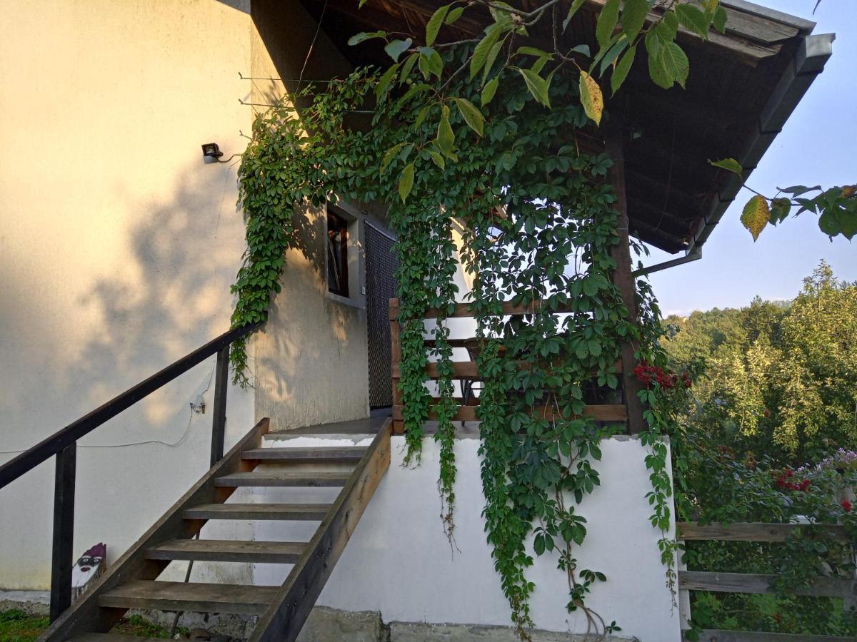 Country House Roman Doboj Exterior photo