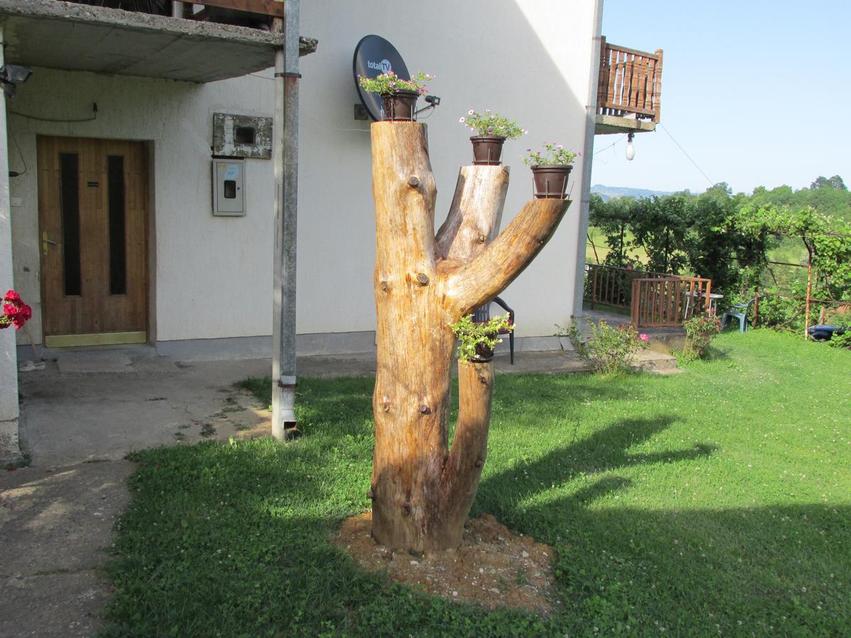 Country House Roman Doboj Exterior photo